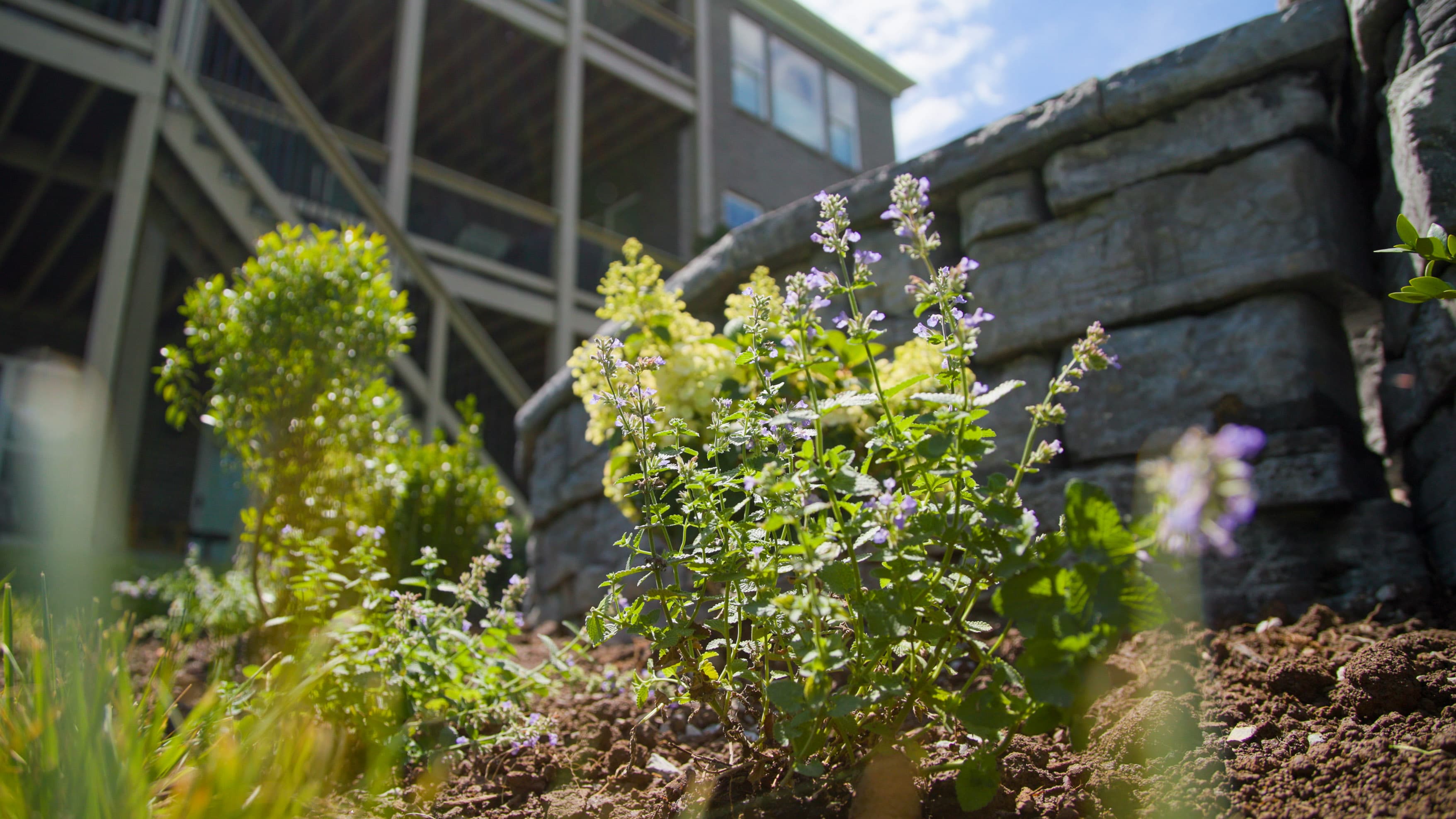 Landscaping services in Sadieville